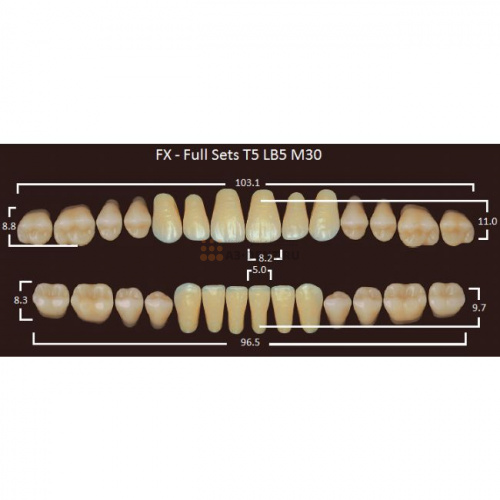 FX зубы акриловые двухслойные, полный гарнитур (28 шт.) на планке, C1, T5/LB5/M30