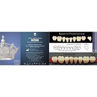 Зубы NAPERCE Posterior, цвет A4, фасон М34 акриловые двухслойные, 8 шт.