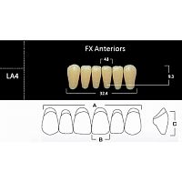 FX Anteriors - Зубы акриловые двухслойные, фронтальные нижние, цвет B4, фасон LA4, 6 шт