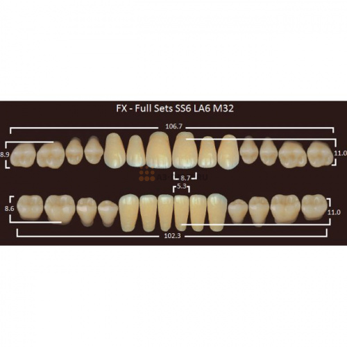 FX зубы акриловые двухслойные, полный гарнитур (28 шт.) на планке, A3.5, SS6/LA6/M32