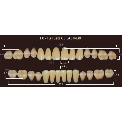 FX зубы акриловые двухслойные, полный гарнитур (28 шт.) на планке, B4, C5/LA5/M30