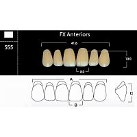 FX Anteriors - Зубы акриловые двухслойные, фронтальные верхние, цвет A3,5, фасон SS5, 6 шт