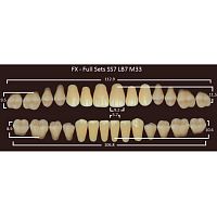 FX зубы акриловые двухслойные, полный гарнитур (28 шт.) на планке, B4, SS7/LB7/M33