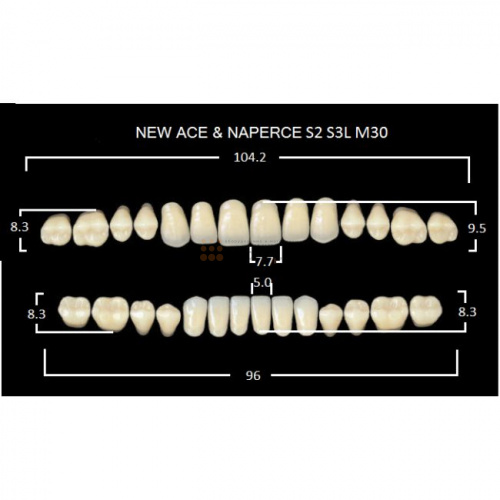 Зубы GLORIA, цвет D2, фасон S2 М30, акриловые двухслойные, полный гарнитур, 28 шт. фото 2