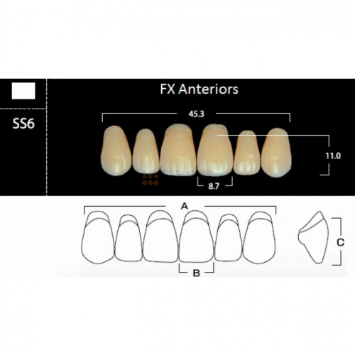 FX Anteriors - Зубы акриловые двухслойные, фронтальные верхние, цвет C3, фасон SS6, 6 шт