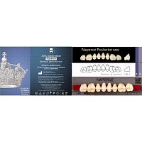 Зубы NAPERCE Posterior, цвет A2, фасон М30, акриловые двухслойные, 8 шт.