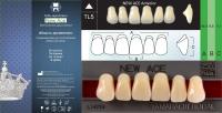 New Ace Anterior - фронтальные верхние, D2 TL5 - зубы акриловые двухслойные 6 шт.