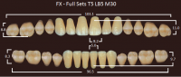 FX (SET) Зубы акриловые цвет B3 (фронт верх T5 - 6шт, низ LВ5 - 6шт, бок М30 - 2х8шт), 28 шт.
