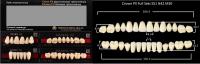 Crown PX полный гарнитур B4 (CROWN S51/N42, EFUCERA 30) - зубы композитные трёхслойные, 28шт