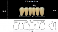 FX Anteriors - Зубы акриловые двухслойные, фронтальные нижние, цвет B2, фасон LA6, 6 шт