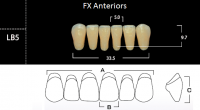 FX Anteriors - Зубы акриловые двухслойные, фронтальные нижние, цвет B2, фасон LB5 6 шт