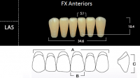 FX Anteriors - Зубы акриловые двухслойные, фронтальные нижние, цвет D2, фасон LA5, 6 шт