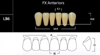 FX Anteriors - Зубы акриловые двухслойные, фронтальные нижние, цвет D2, фасон LB6, 6 шт