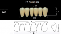 FX Anteriors - Зубы акриловые двухслойные, фронтальные нижние, цвет B3, фасон LA7, 6 шт