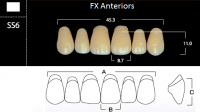 FX Anteriors - Зубы акриловые двухслойные, фронтальные верхние, цвет C3, фасон SS6, 6 шт