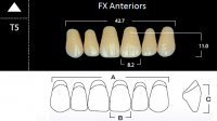 FX Anteriors - Зубы акриловые двухслойные, фронтальные верхние, цвет C3, фасон Т5, 6 шт