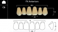 FX Anteriors - Зубы акриловые двухслойные, фронтальные верхние, цвет C1, фасон C6, 6 шт