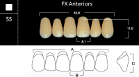 FX Anteriors - Зубы акриловые двухслойные, фронтальные верхние, цвет D3, фасон S5, 6 шт