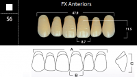 FX Anteriors - Зубы акриловые двухслойные, фронтальные верхние, цвет D3, фасон S6, 6 шт