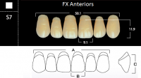 FX Anteriors - Зубы акриловые двухслойные, фронтальные верхние, цвет D3, фасон S7, 6 шт