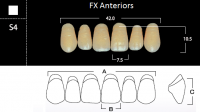 FX Anteriors - Зубы акриловые двухслойные, фронтальные верхние, цвет D2, фасон S4, 6 шт