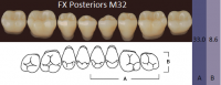 FX Posteriors - Зубы акриловые двухслойные, боковые нижние, цвет B2, фасон М32, 8 шт