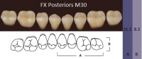 FX Posteriors - Зубы акриловые двухслойные, боковые нижние, цвет D2, фасон М30, 8 шт