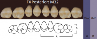 FX Posteriors - Зубы акриловые двухслойные, боковые верхние, цвет B2, фасон М32, 8 шт