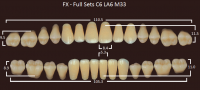 FX зубы акриловые двухслойные, полный гарнитур (28 шт.) на планке, B2, C6/LA6/M33