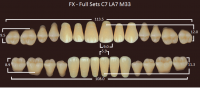 FX зубы акриловые двухслойные, полный гарнитур (28 шт.) на планке, B2, C7/LA7/M33