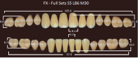 FX зубы акриловые двухслойные, полный гарнитур (28 шт.) на планке, B2, S5/LB6/M30