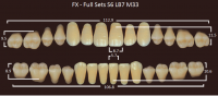 FX зубы акриловые двухслойные, полный гарнитур (28 шт.) на планке, B2, S6/LB7/M33