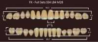 FX зубы акриловые двухслойные, полный гарнитур (28 шт.) на планке, B2, SS4/LB4/M28