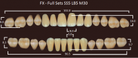 FX зубы акриловые двухслойные, полный гарнитур (28 шт.) на планке, B2, SS5/LB5/M30