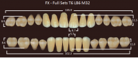 FX зубы акриловые двухслойные, полный гарнитур (28 шт.) на планке, B2, T6/LB6/M32