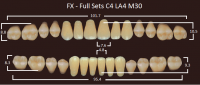 FX зубы акриловые двухслойные, полный гарнитур (28 шт.) на планке, C1, C4/LA4/M30