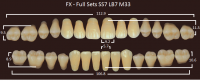 FX зубы акриловые двухслойные, полный гарнитур (28 шт.) на планке, C1, SS7/LB7/M33