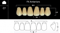 FX Anteriors - Зубы акриловые двухслойные, фронтальные верхние, цвет A3,5, фасон C7, 6 шт