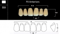 FX Anteriors - Зубы акриловые двухслойные, фронтальные верхние, цвет A3,5, фасон SS5, 6 шт