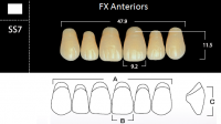 FX Anteriors - Зубы акриловые двухслойные, фронтальные верхние, цвет A3,5, фасон SS7, 6 шт