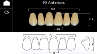 FX Anteriors - Зубы акриловые двухслойные, фронтальные верхние, цвет B3, фасон  C5, 6 шт
