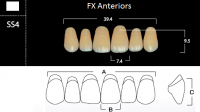 FX Anteriors - Зубы акриловые двухслойные, фронтальные верхние, цвет A1, фасон SS4 6 шт