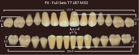 FX зубы акриловые двухслойные, полный гарнитур (28 шт.) на планке, D4, T7/LB7/M33