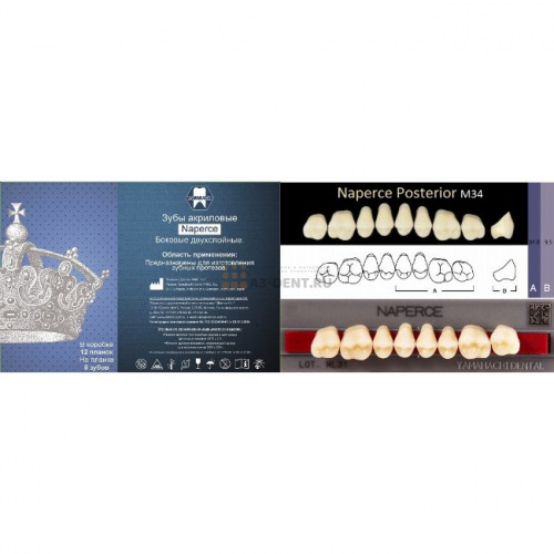 Зубы NAPERCE Posterior, цвет B2, фасон М34 акриловые двухслойные, 8 шт.