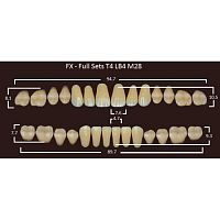 FX зубы акриловые двухслойные, полный гарнитур (28 шт.) на планке, B3, T4/LB4/M28