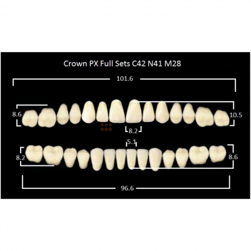 Зубы PX CROWN / EFUCERA, цвет A3,5, фасон C42/N41/28, полный гарнитур, 28шт. фото 2
