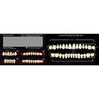Зубы PX CROWN / EFUCERA, цвет C4, фасон T61/N61S/34, полный гарнитур, 28шт.