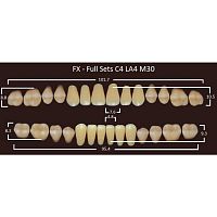 FX зубы акриловые двухслойные, полный гарнитур (28 шт.) на планке, C2, C4/LA4/M30