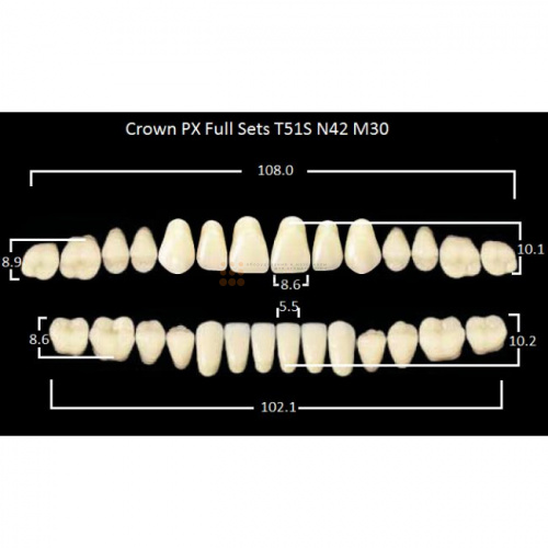Зубы PX CROWN / EFUCERA, цвет C1, фасон T51S/N42/30, полный гарнитур, 28шт. фото 2