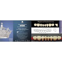 Зубы NAPERCE Posterior, цвет A4, фасон М32 акриловые двухслойные, 8 шт.